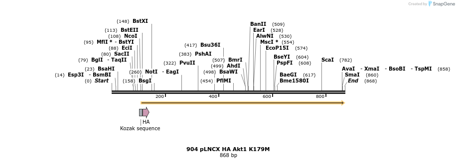 17603_map
