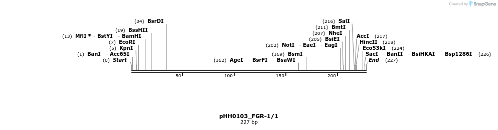 176031_map