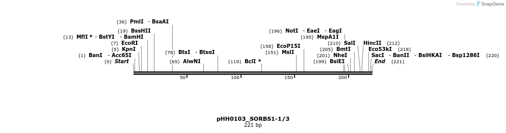 176035_map