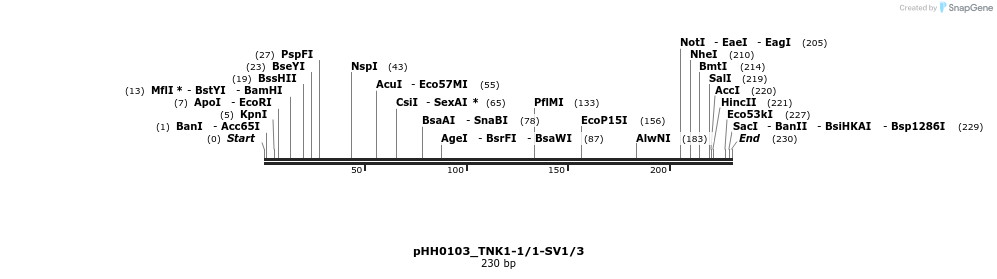 176036_map