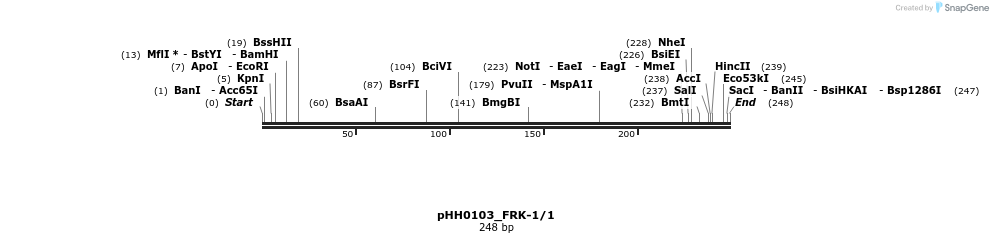 176037_map