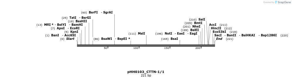 176038_map