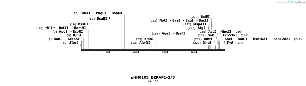 176039_map