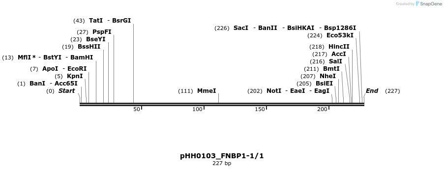 176040_map