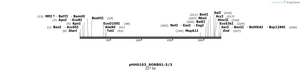 176041_map