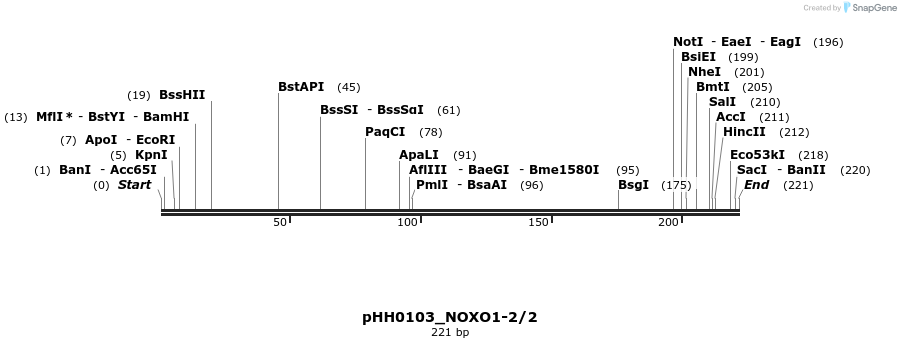 176046_map