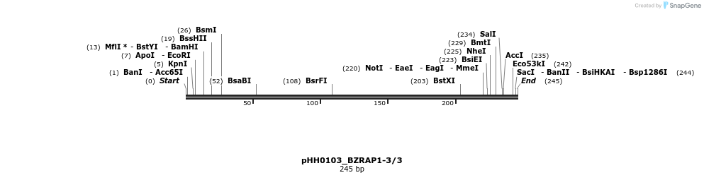 176047_map