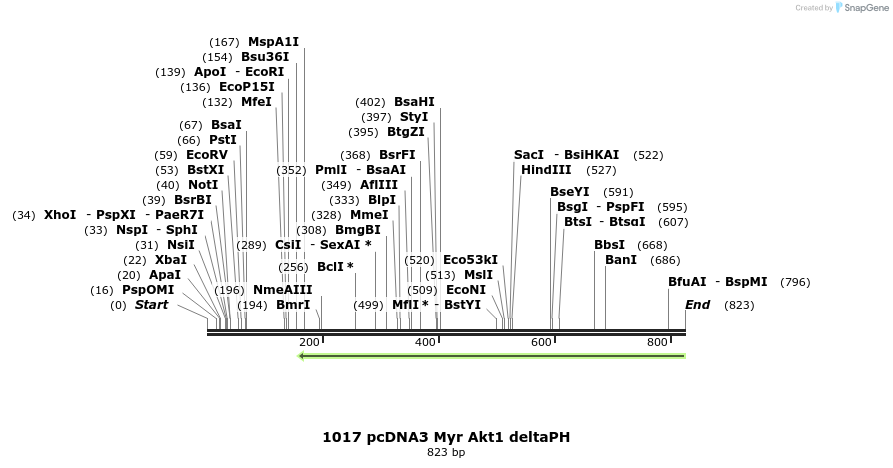17605_map