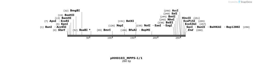 176050_map