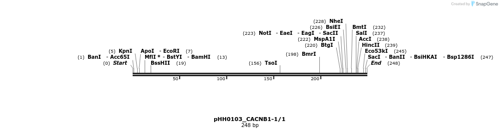 176051_map