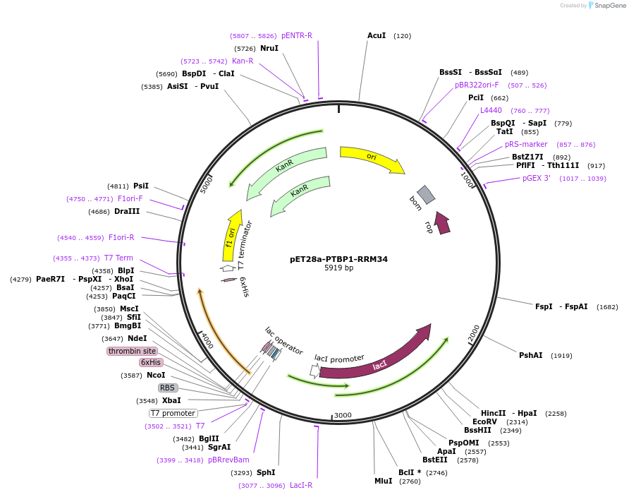 176055_map