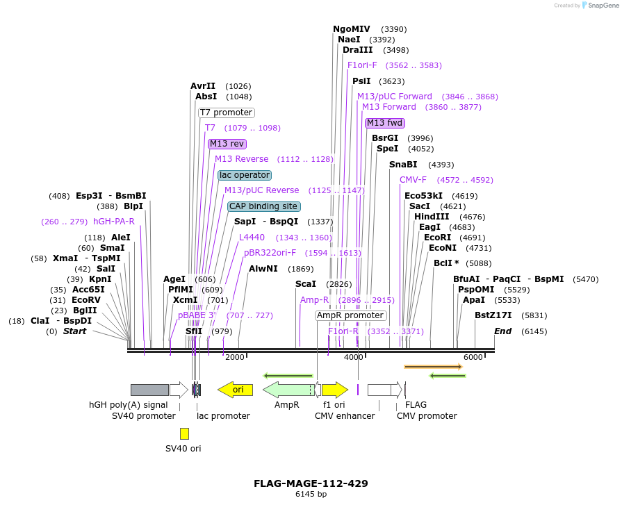 176069_map