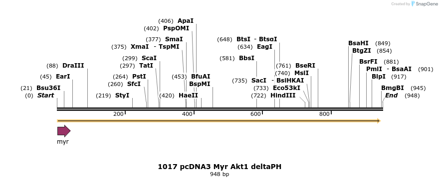 17607_map