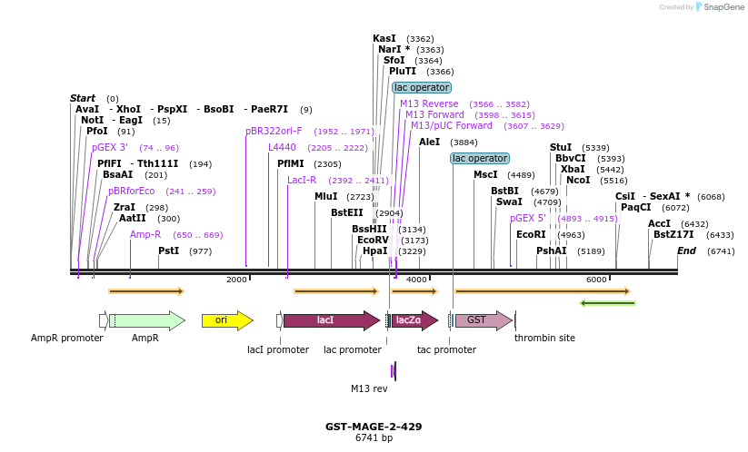 176070_map