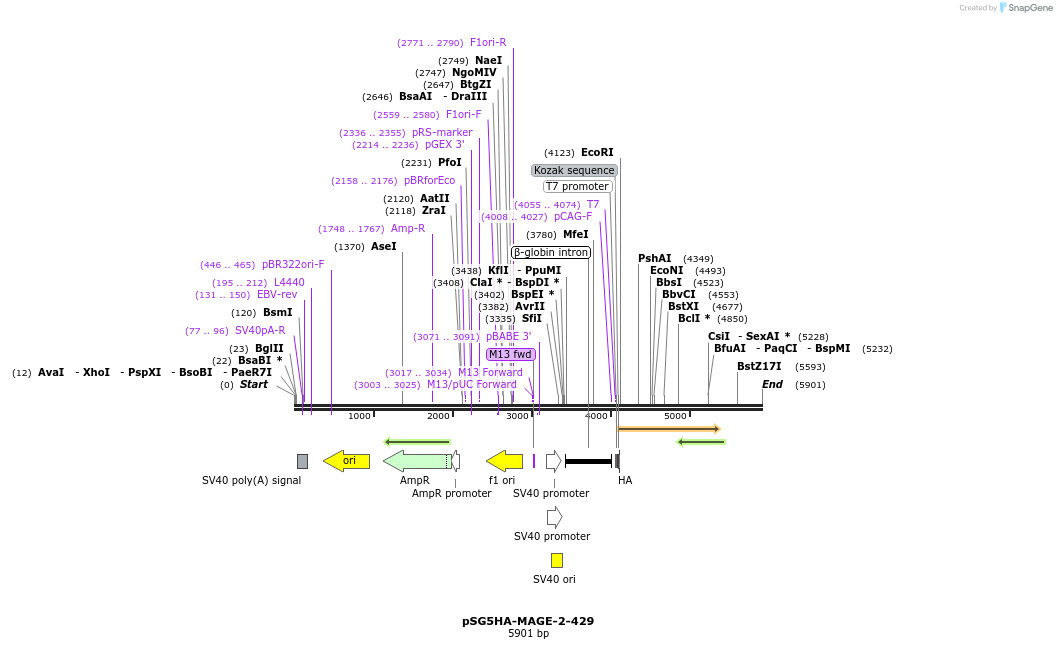 176071_map