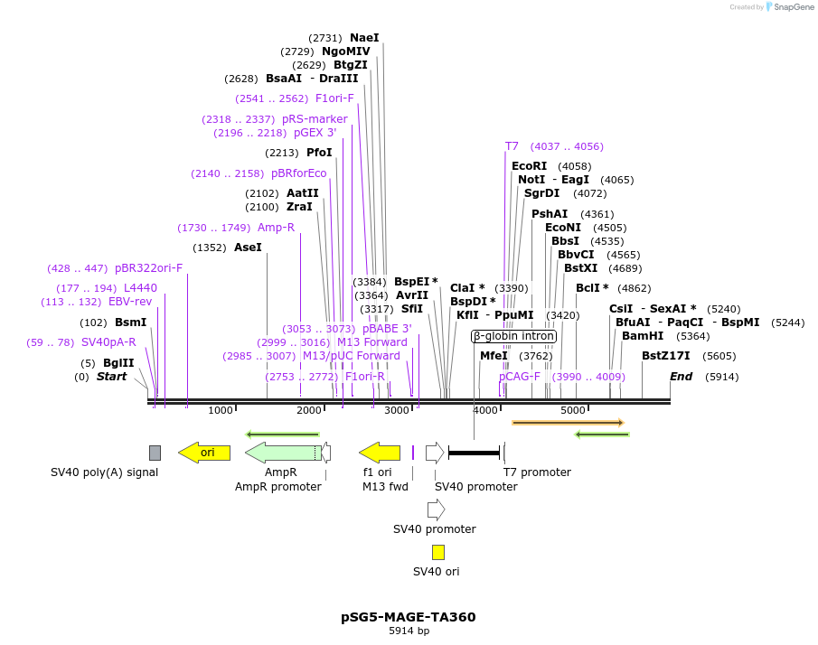 176073_map