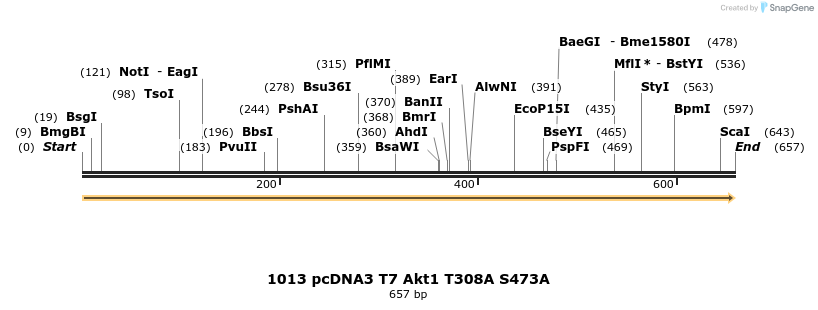 17608_map