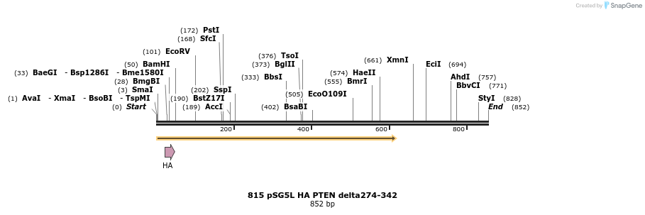 17611_map