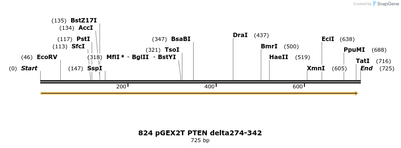 17612_map