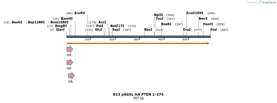 17613_map