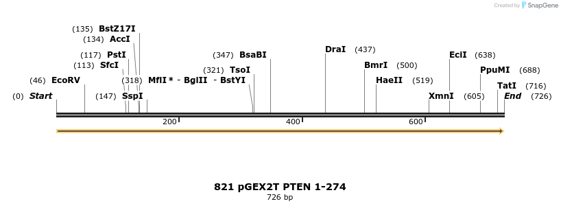 17614_map
