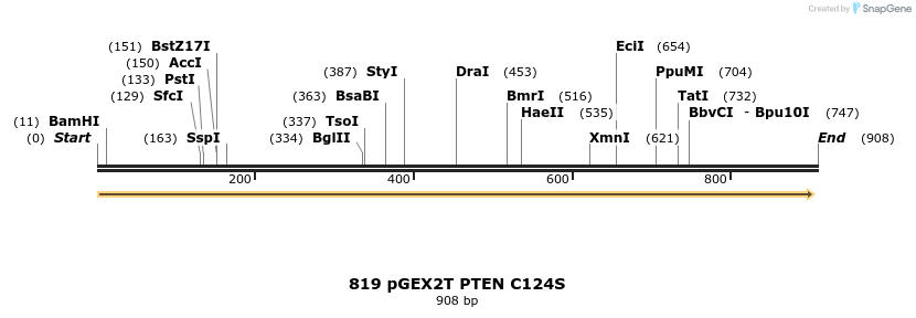 17617_map