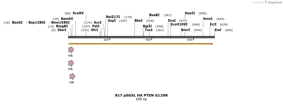 17620_map