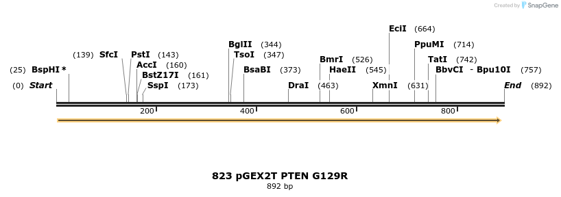 17621_map