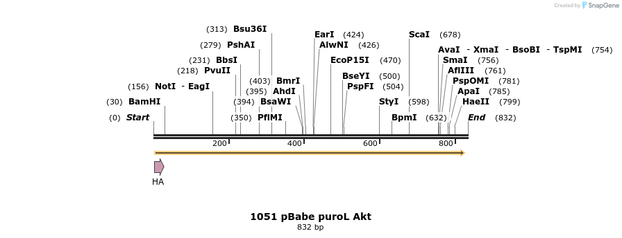 17624_map