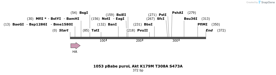 17625_map