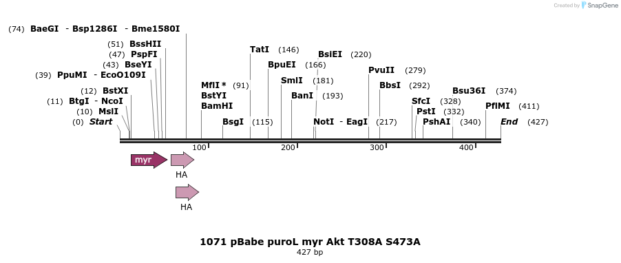 17626_map
