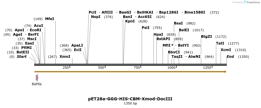 176262_map