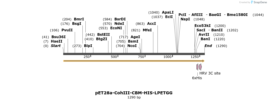 176265_map