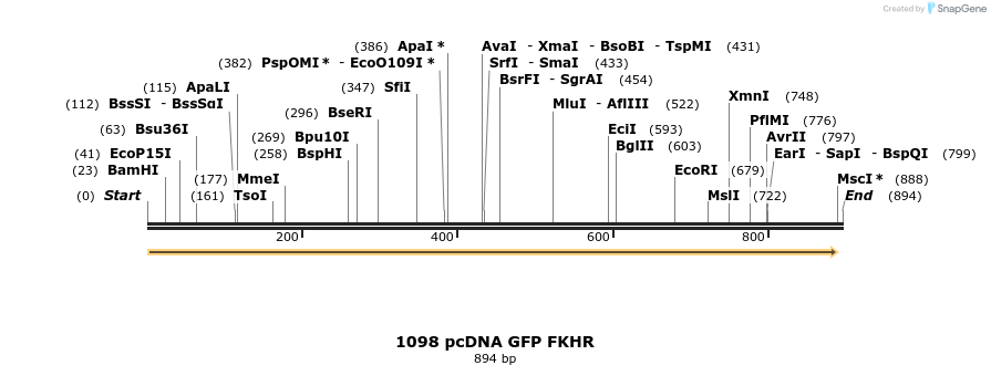 17628_map