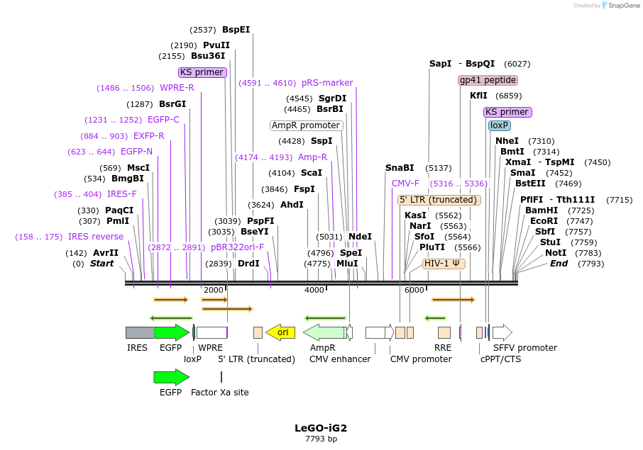 176311_map
