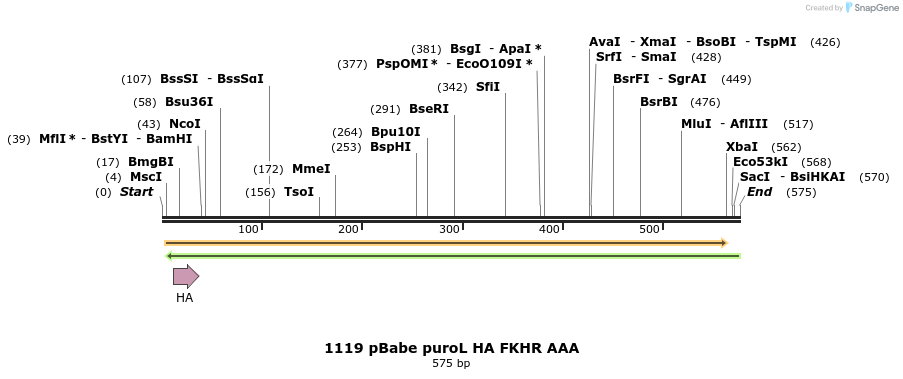 17634_map
