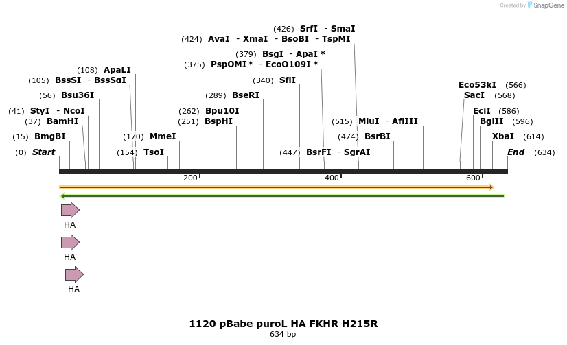 17636_map