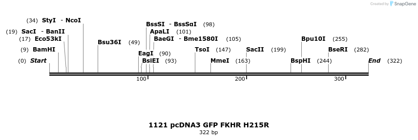 17637_map