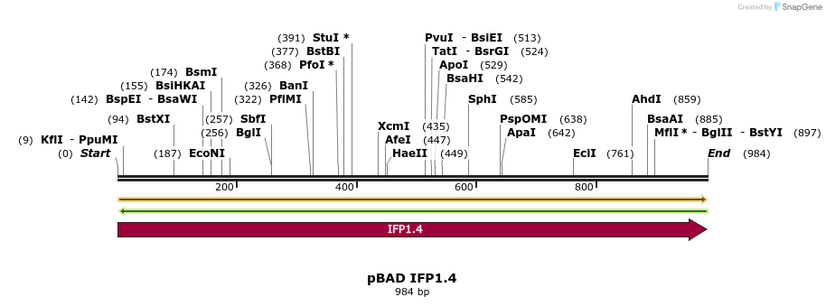 176399_map