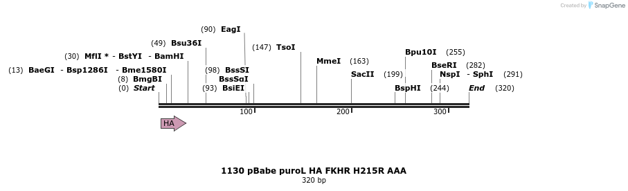 17641_map