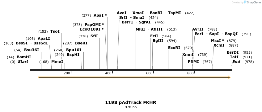 17642_map