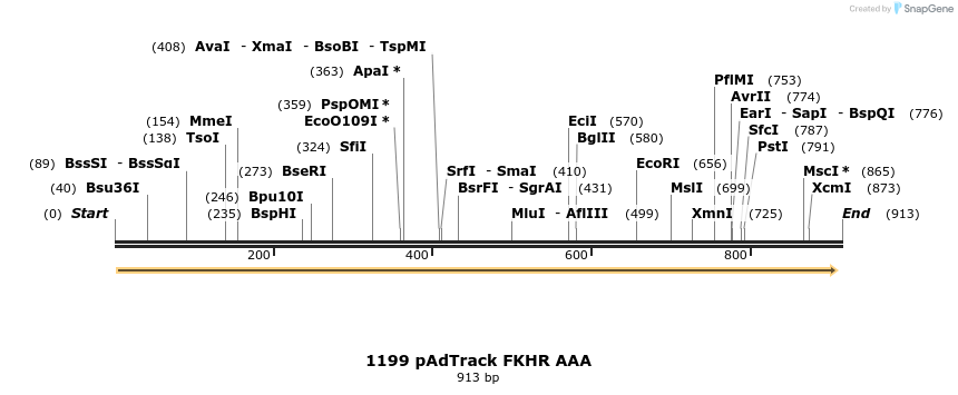 17643_map
