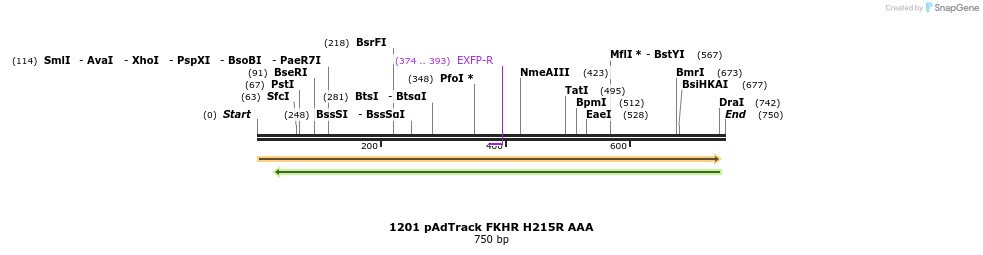 17645_map