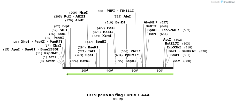 17649_map