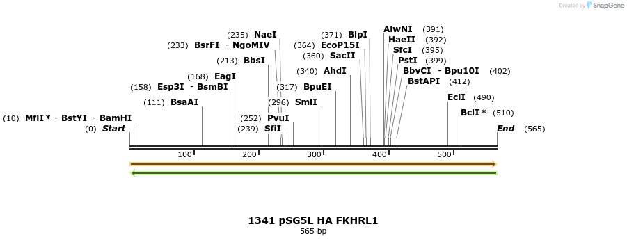17652_map