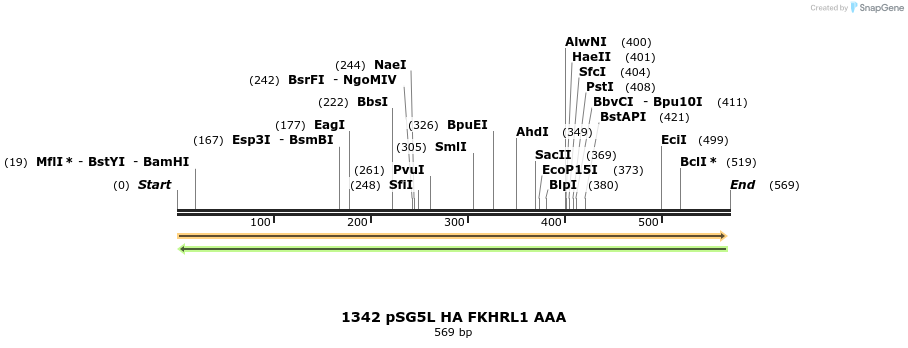 17653_map