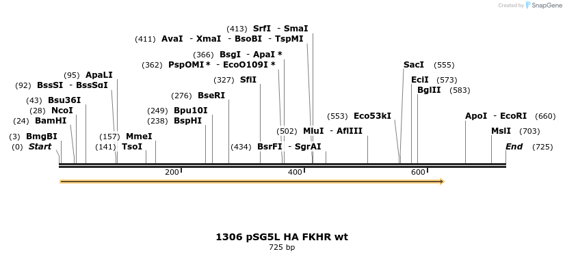 17654_map