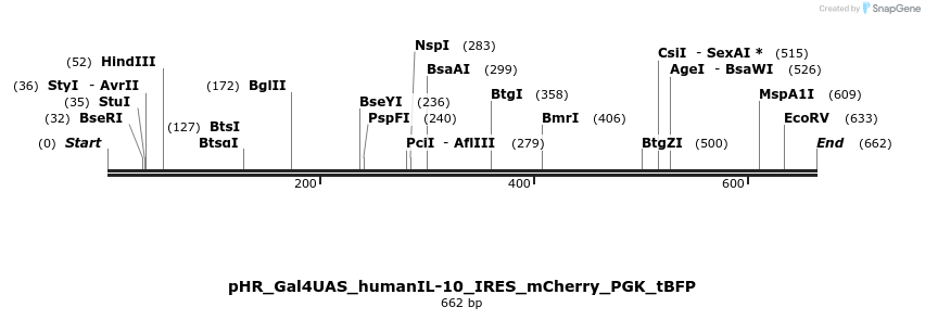 176547_map