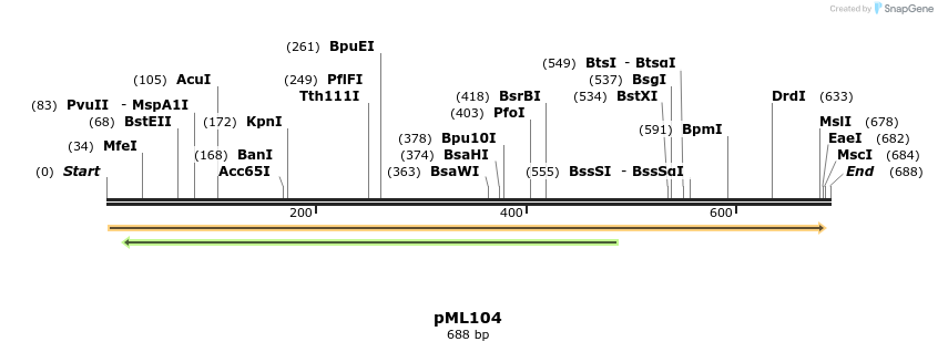 176553_map