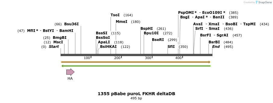 17656_map